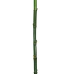 CAÑA BAMBU ARTIFICIAL 140CM - Imagen 3