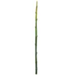 CAÑA BAMBU ARTIFICIAL 140CM - Imagen 2