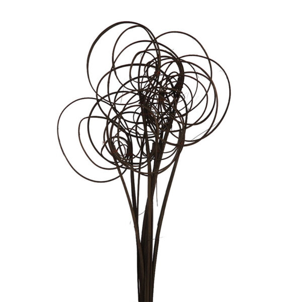 CANE COIL X 10, 50 CM - Imagen 9