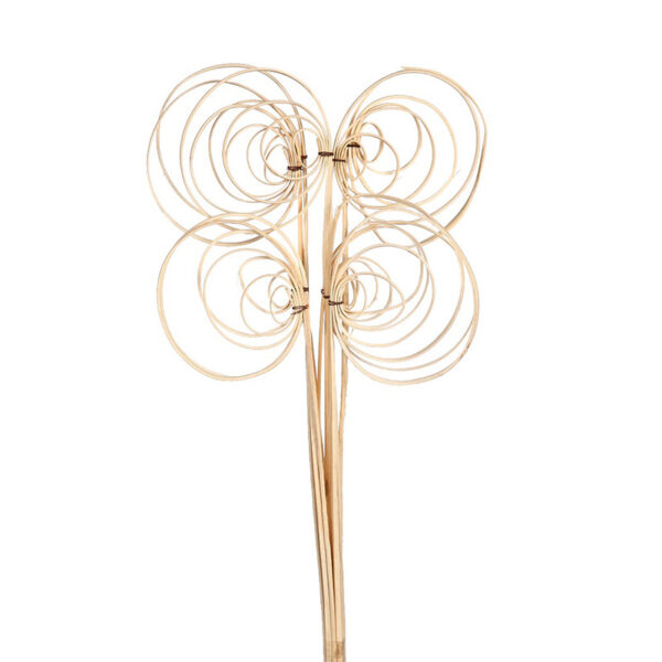 CANE COIL X 10, 50 CM - Imagen 1