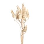 CANE CONE X 10, 50 CM