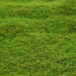 LIQUEN SINTETICO Ø 55CM - Imagen 2