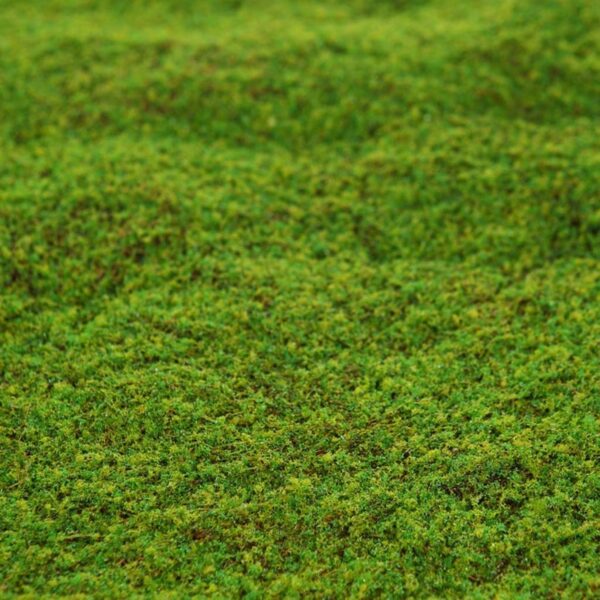 LIQUEN SINTETICO Ø 55CM - Imagen 2