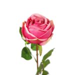 VARA ROSA ARTIFICIAL 65CM - Imagen 6