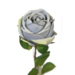 VARA ROSA ARTIFICIAL 65CM - Imagen 8
