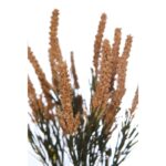 PLANTA BREZO ARTIFICIAL 35CM - Imagen 8