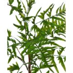 HELECHO ARTIFICIAL 50CM - Imagen 2