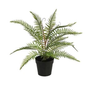 MATA HELECHO EN MACETA 40CM