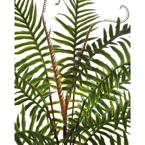 MATA HELECHO EN MACETA 40CM - Imagen 2