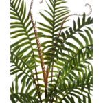 MATA HELECHO ARTIFICIAL Ø 60CM - Imagen 2