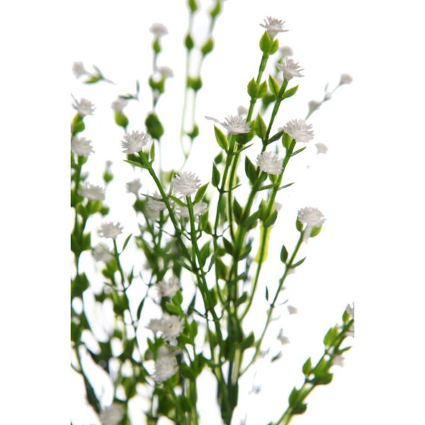 MATA FLOR MINI GIPSOFILA ARTIFICIAL 35CM - Imagen 2