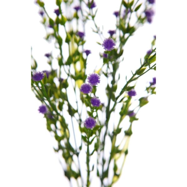 MATA FLOR MINI GIPSOFILA ARTIFICIAL 35CM - Imagen 8