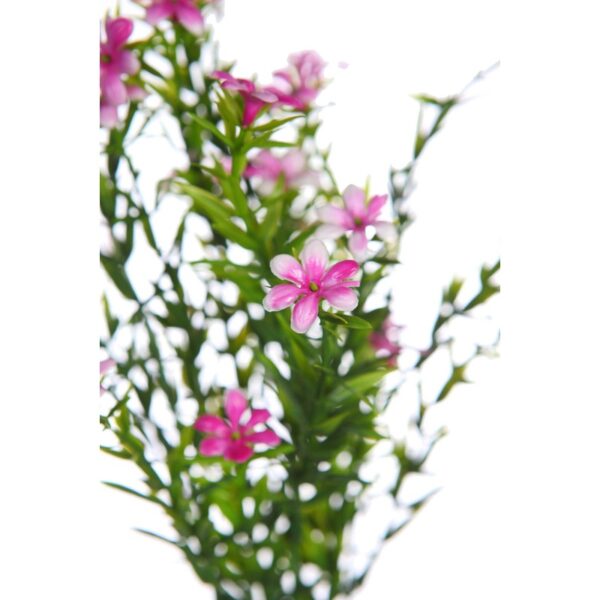 MATA FLOR MINI ARTIFICIAL 35CM - Imagen 4