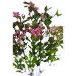 MATA BROTES MINI FLOR ARTIFICIAL 30CM - Imagen 4