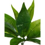 PLANTA DIFEMBACHIA ARTIFICIAL 24CM - Imagen 2