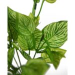 PLANTA CEBRA ARTIFICIAL 30CM - Imagen 2