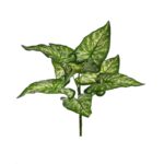 PLANTA DIFEMBACHIA ARTIFICIAL 35CM