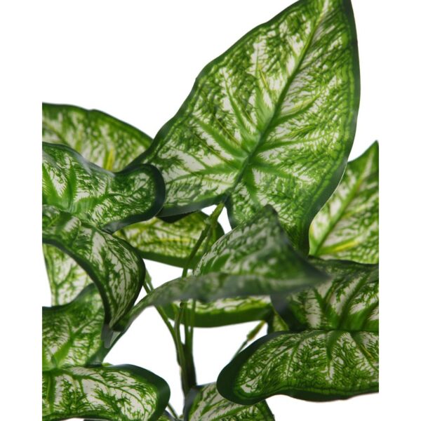 PLANTA DIFEMBACHIA ARTIFICIAL 35CM - Imagen 2
