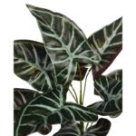 APELANDRA ARTIFICIAL 35CM - Imagen 2