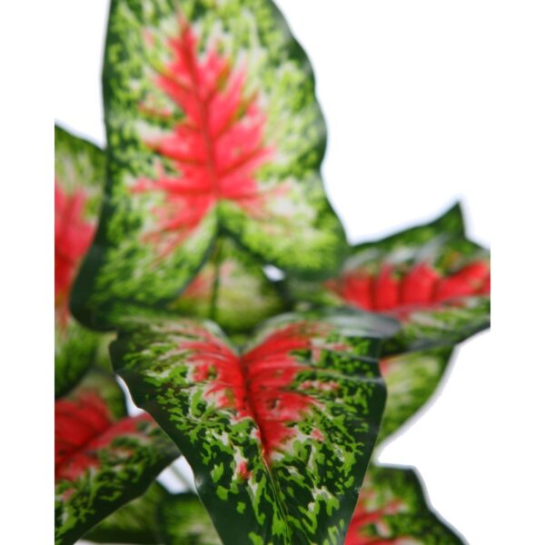 PLANTA CALADIUM ARTIFICIAL 35CM - Imagen 2