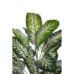DIFEMBACHIA ARTIFICIAL 65CM - Imagen 2