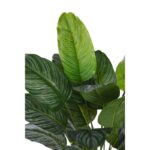 PLANTA CALATHEA EN MACETA ARTIFICIAL 65CM - Imagen 2