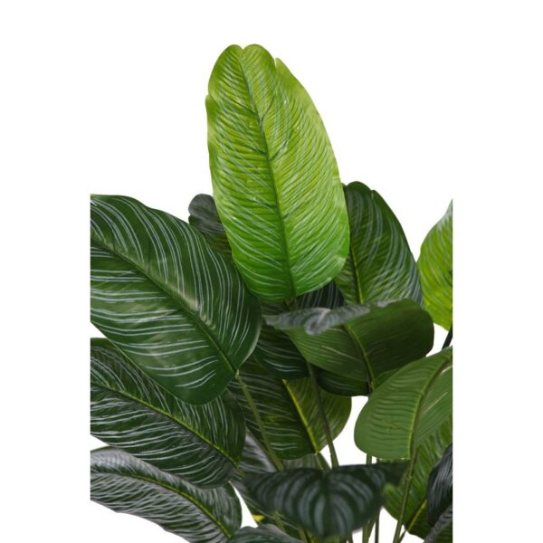 PLANTA CALATHEA EN MACETA ARTIFICIAL 65CM - Imagen 2