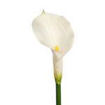 FLOR DE CALA ARTIFICIAL 70CM - Imagen 2