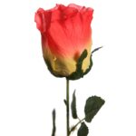 VARA CAPULLO 73CM - Imagen 2