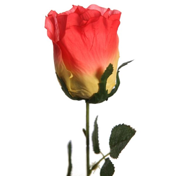 VARA CAPULLO 73CM - Imagen 2