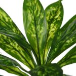 DIFEMBACHIA ARTIFICIAL 40CM - Imagen 2