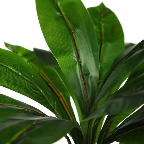 DIFEMBACHIA ARITIFICIAL 38CM - Imagen 2