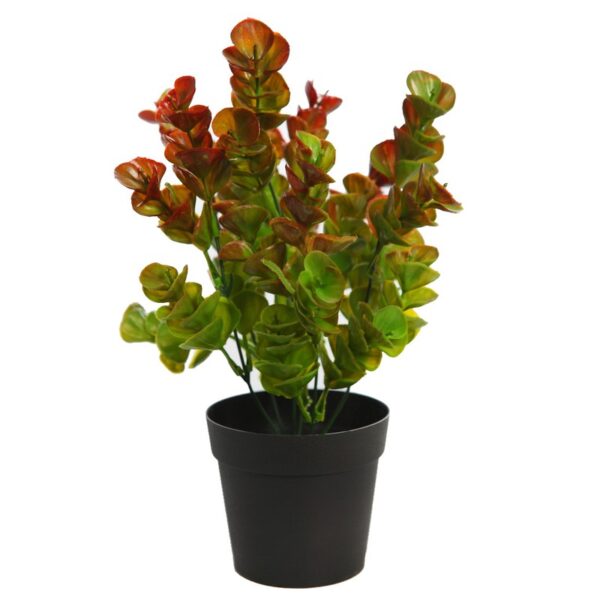 GK0007M.13_0 EUCALIPTO ARTIFICIAL EN MACETA 30CM - Imagen 1