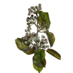 RAMA BERRIES ARTIFICIAL 40CM - Imagen 4