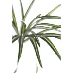 PLANTA CINTA CLOROFITO ARTIFICIAL 35CM - Imagen 2