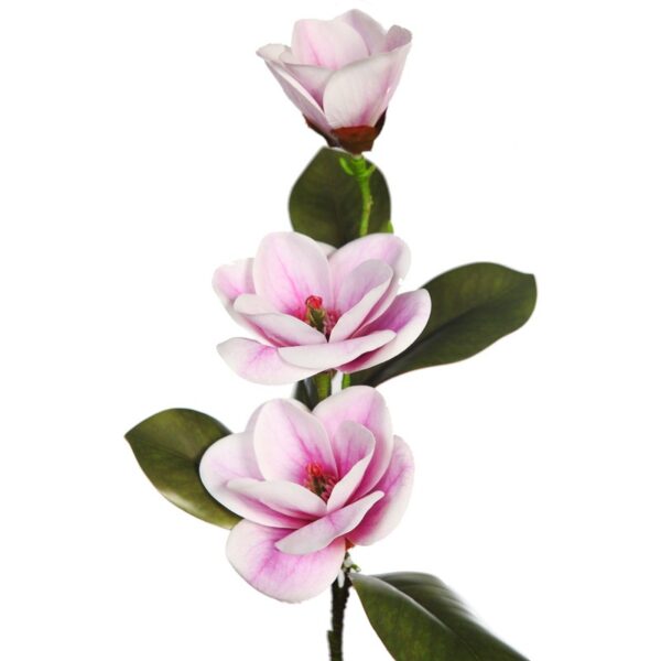 VARA MAGNOLIA ARTIFICIAL 75CM - Imagen 6