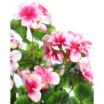 PLANTA GERANIO ARTIFICIAL 45CM - Imagen 6