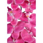 VARA DE ORQUIDEA ARTIFICIAL 94CM - Imagen 9