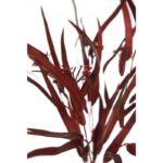 ATADO EUCALIPTO CON FLOR ARTIFICIAL 48CM - Imagen 3