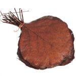 HOJAS COBRA BOLSA 25UD 19CM - Imagen 2