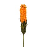 HYCAINTH, FLOR SECA - Imagen 2