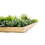 CUADRO VEGETAL ARTIFICIAL 100X100CM - Imagen 3