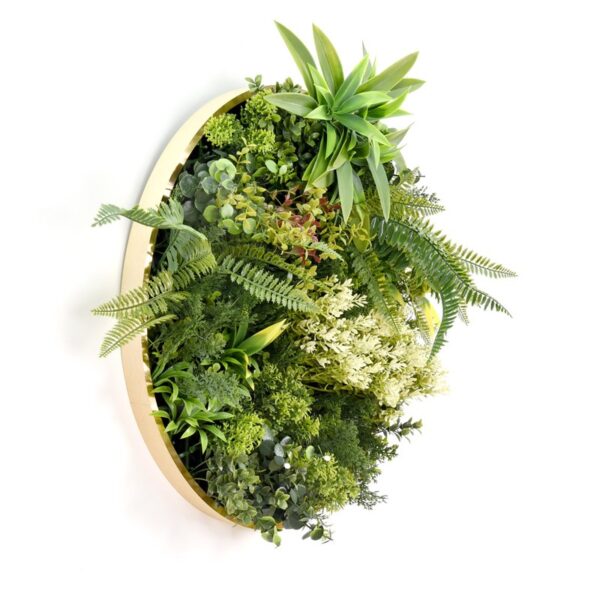 CUADRO VEGETAL REDONDO Ø 50CM - Imagen 2