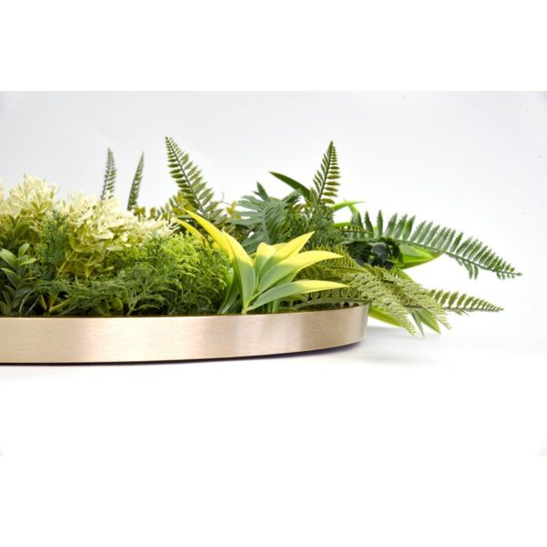 CUADRO VEGETAL REDONDO Ø 50CM - Imagen 3