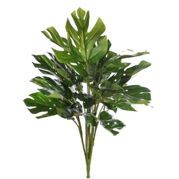 PLANTA MONSTERA 45CM - Imagen 1