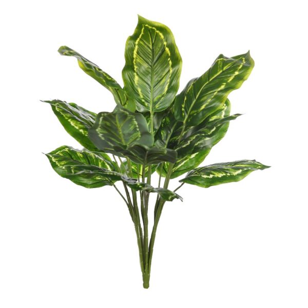 KBM014_0 PLANTA MARANTA VERDE 45CM - Imagen 1