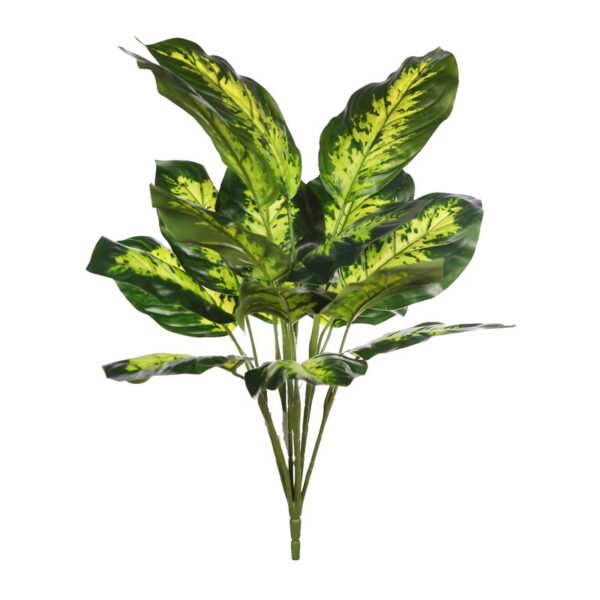 KBM015_0 PLANTA DIEFFENBACHIA 45CM - Imagen 1