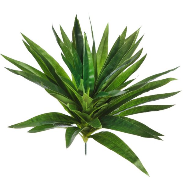 PLANTA DRACENA V. 30CM - Imagen 1