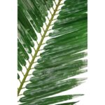 HOJA 200CM UV - Imagen 2