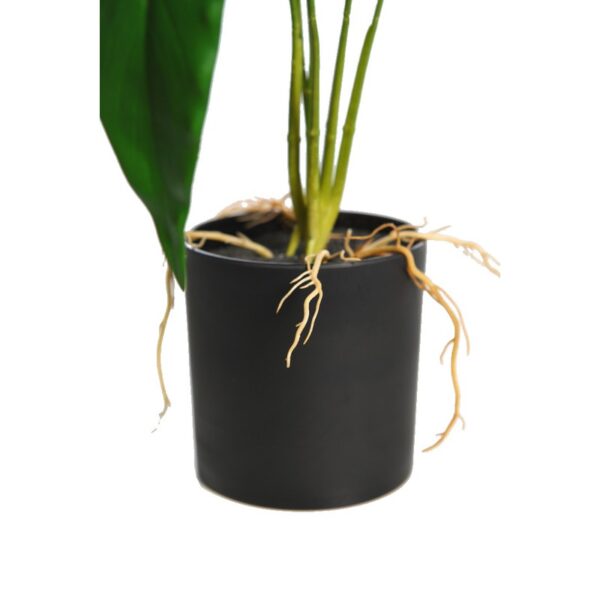 SPATIFILIUM 50CM - Imagen 3